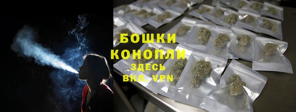 МДПВ Богородск