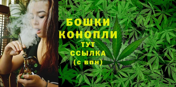 МДПВ Богородск