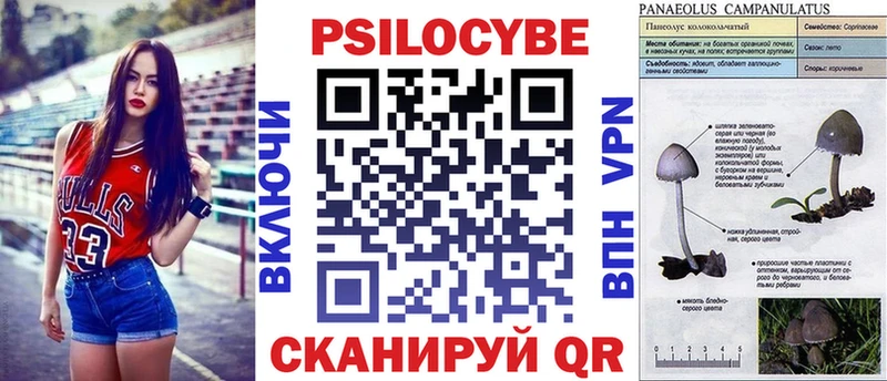 Псилоцибиновые грибы мицелий  хочу наркоту  Гаврилов-Ям 